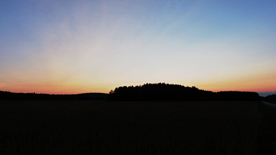 sunset, nature, forest, sky, tranquility, tranquil scene, beauty in nature HD wallpaper