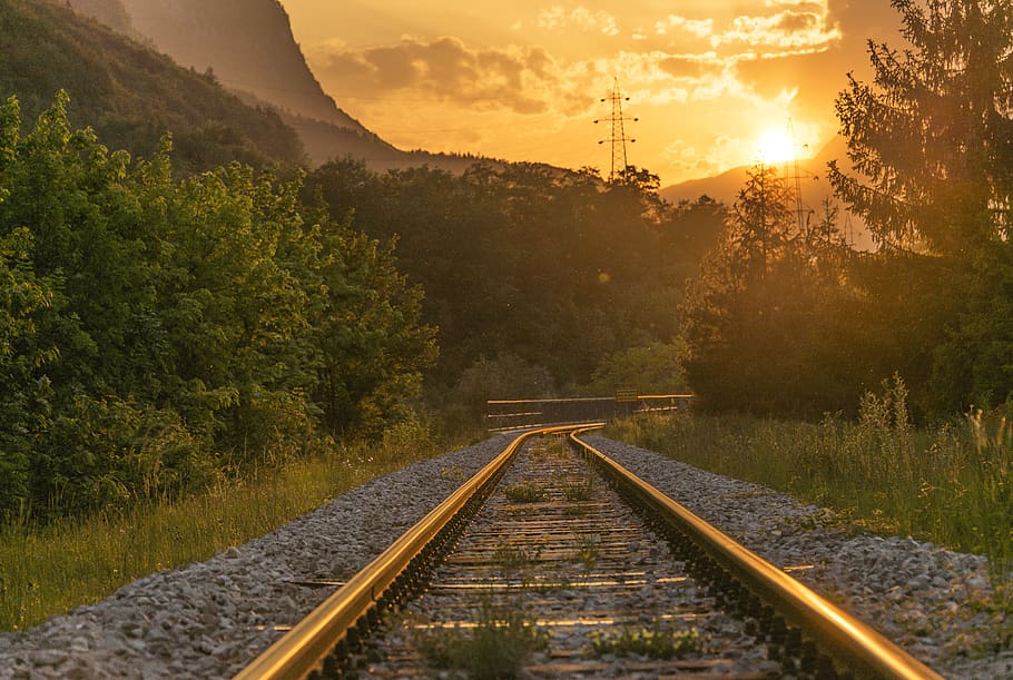 brown railway during sunset, tree, plant, rail transportation HD wallpaper