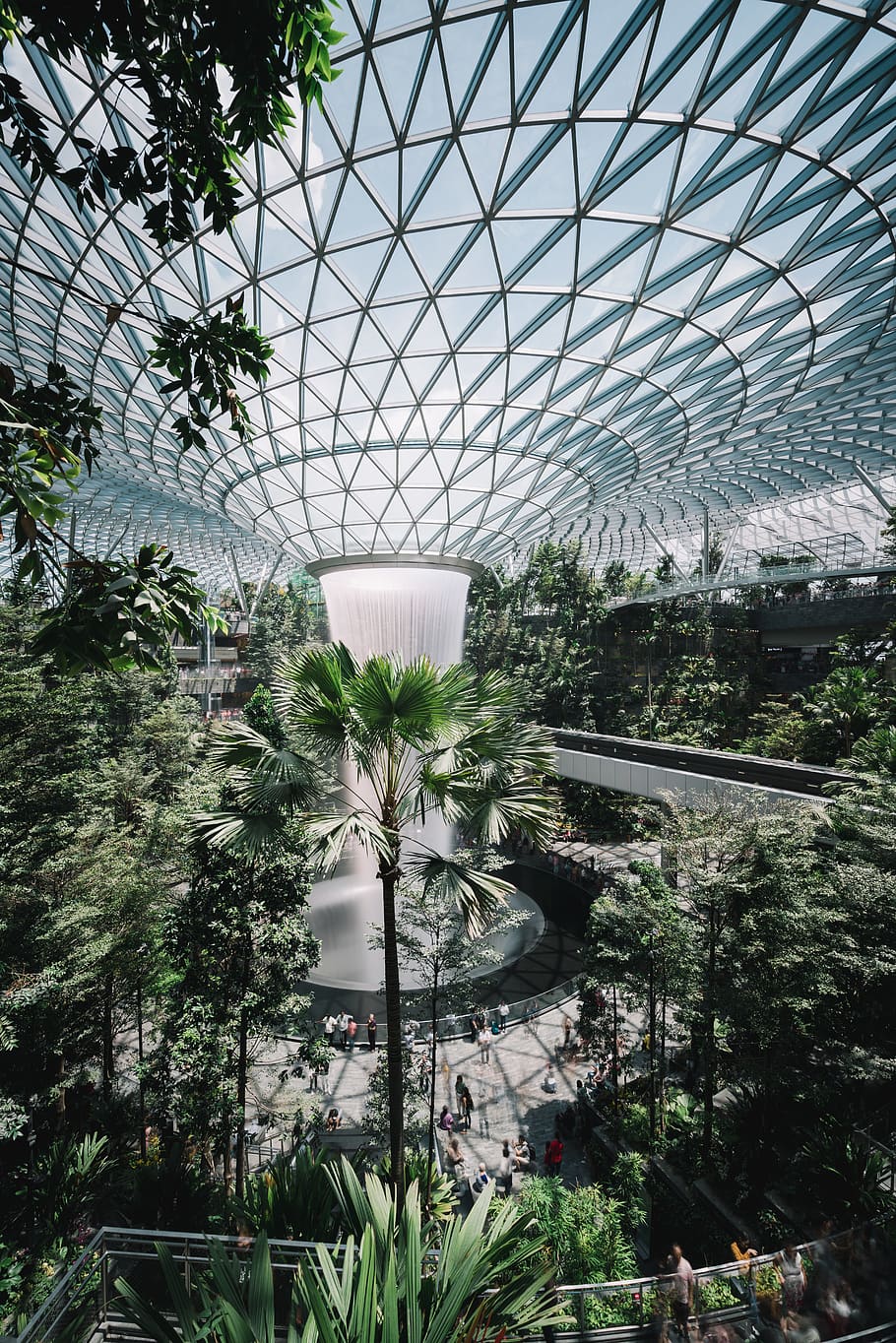 green-leafed plants, growth, tree, built structure, architecture HD wallpaper