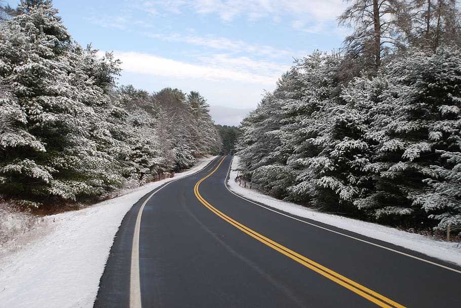 snow, road, winter, trees, scenic, plant, direction, the way forward HD wallpaper