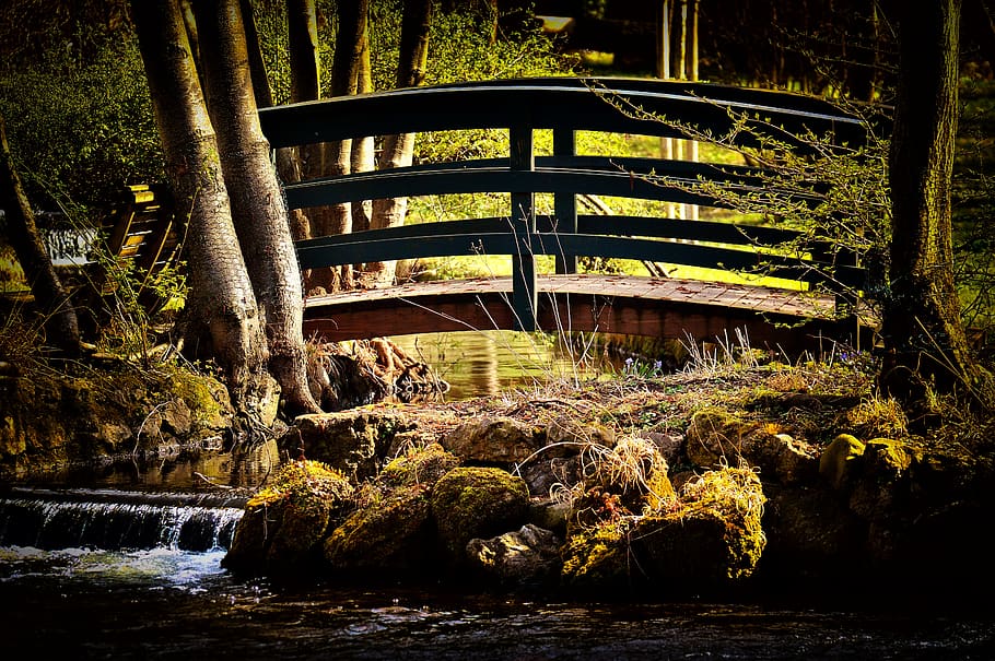 bridge, romantic, idyllic, bach, water, nature, bridge brook HD wallpaper