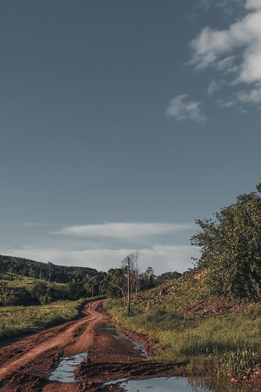 sky, landscape, plant, tree, cloud - sky, environment, transportation HD wallpaper