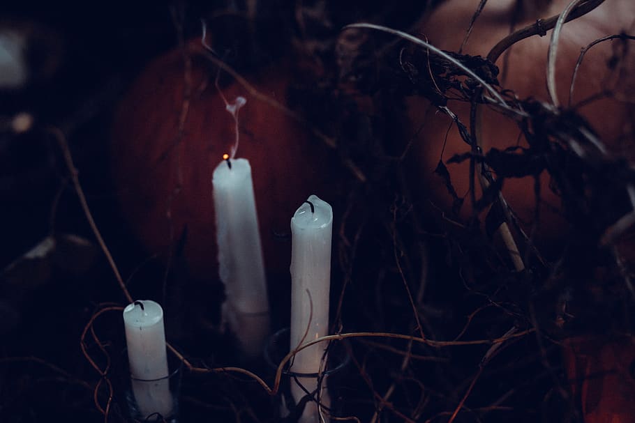 Three tall white candles., no people, close-up, nature, focus on foreground HD wallpaper