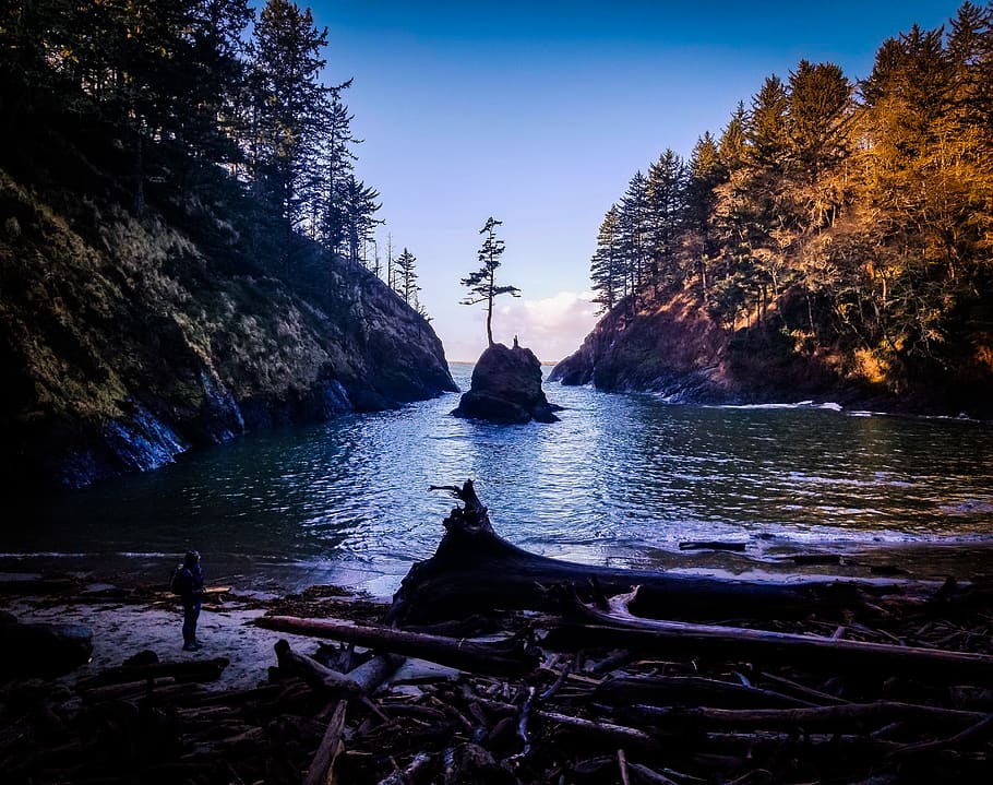 river cover by green trees, plant, person, human, fir, abies HD wallpaper