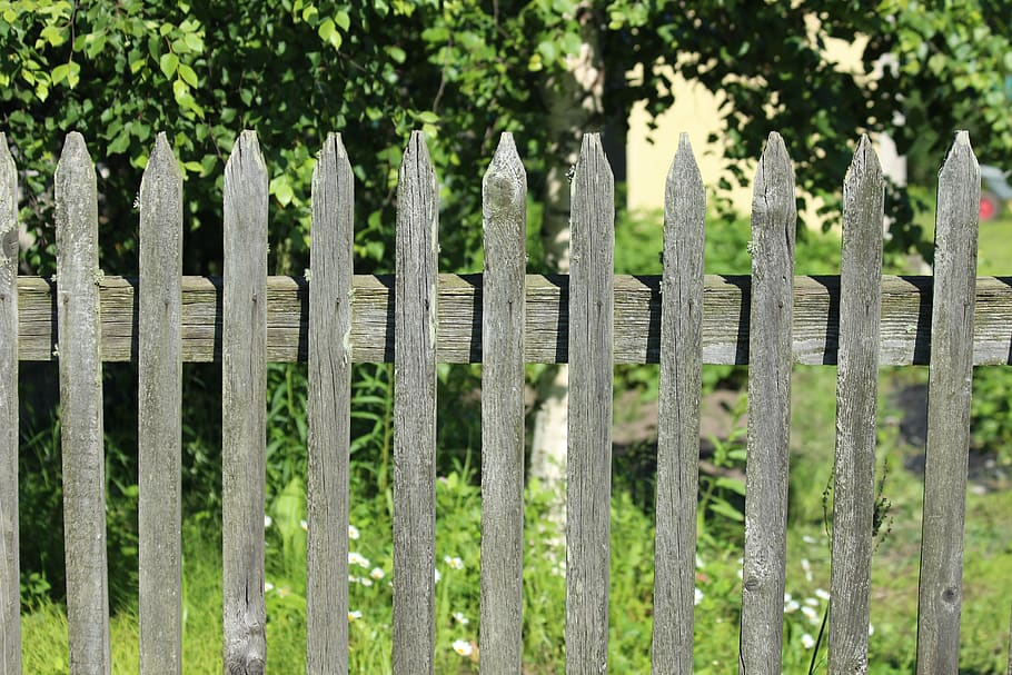 fence, village, grey, summer, the surrounding area, green, plant HD wallpaper