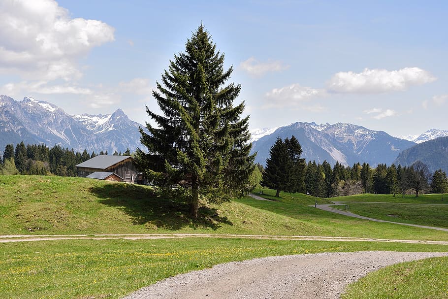 mountain, mountainous, nature, landscape, altitude, wild, tree HD wallpaper