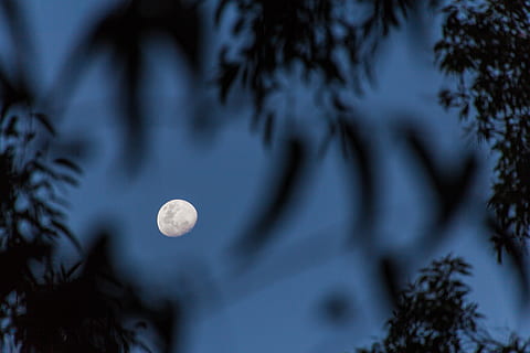 moon on blue sky, night, outdoors, outer space, universe, full moon HD wallpaper