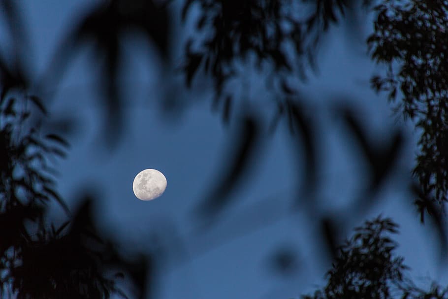 moon on blue sky, night, outdoors, outer space, universe, full moon HD wallpaper