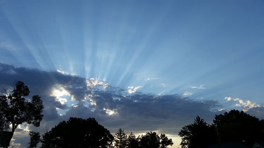 clouds, rays of light, sun, tree, sky, plant, beauty in nature HD wallpaper