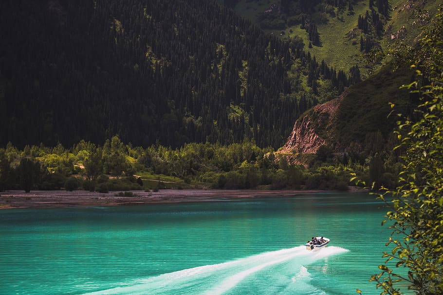 White Speed Boat on Body of Water Across Green Trees, bay, beach HD wallpaper