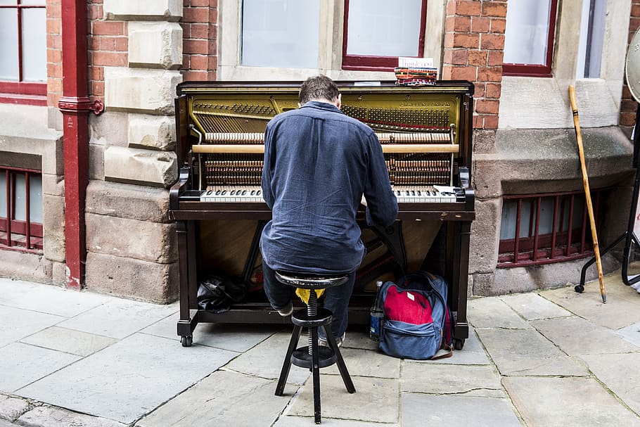 man performing piano, one person, real people, rear view, music HD wallpaper