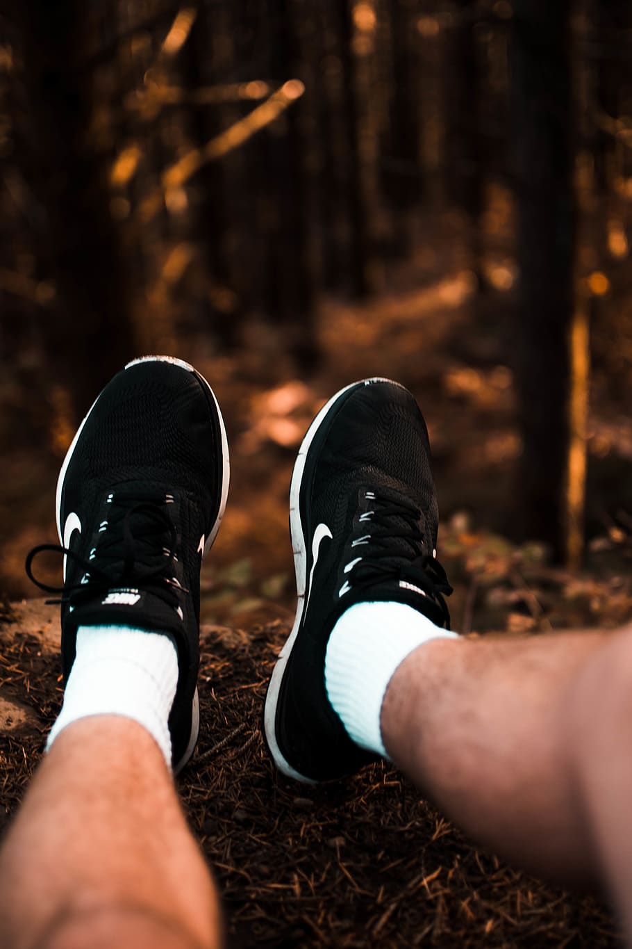 united states, stevenson, hamilton mountain trail, trees, forest HD wallpaper