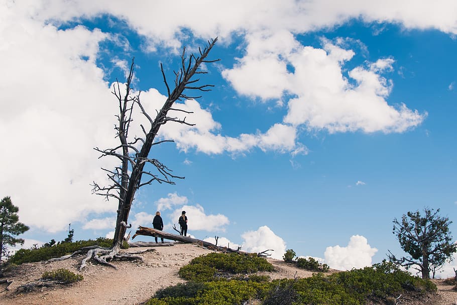sky, cloud - sky, plant, tree, beauty in nature, real people HD wallpaper