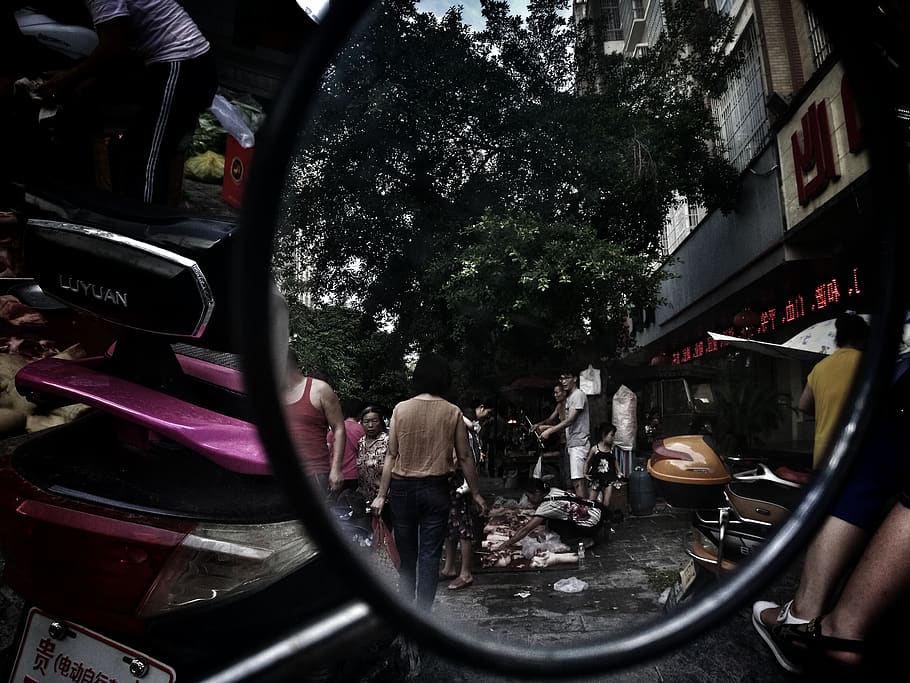 taking photo using motorcycle side mirror, human, person, wangmo HD wallpaper