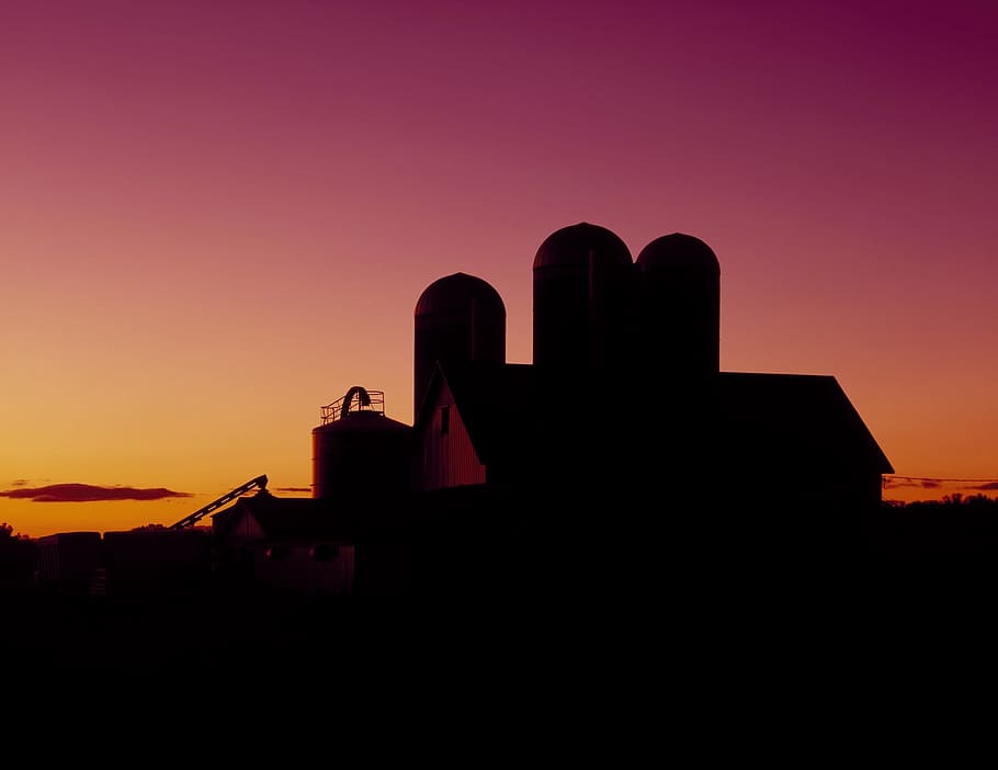 dairy, barn, industry, construction, architecture, industrial HD wallpaper