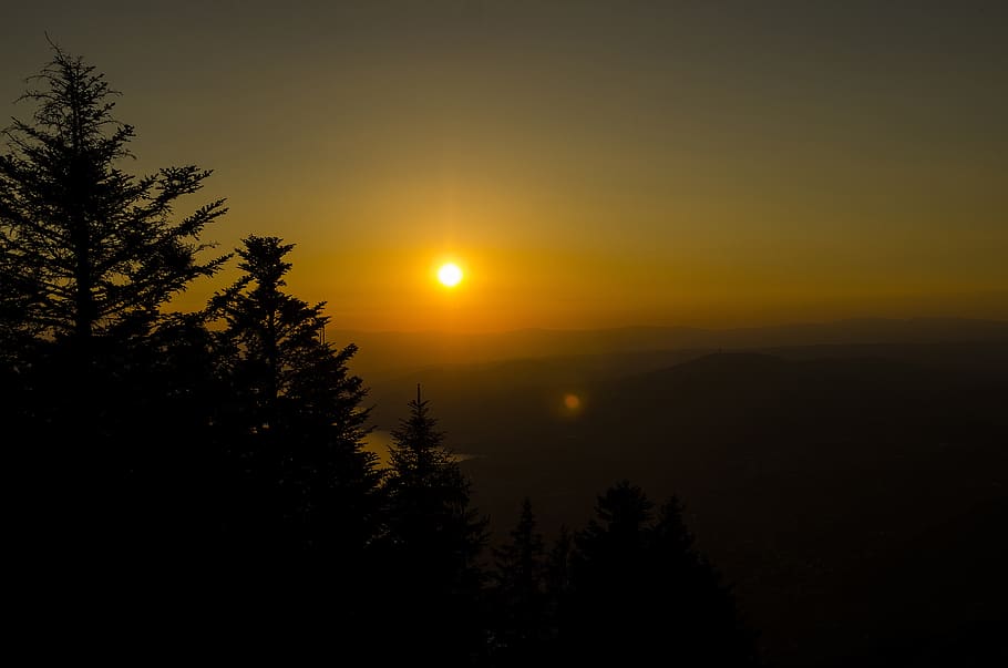 sunset, landscape, sky, switzerland, tree, beauty in nature, HD wallpaper