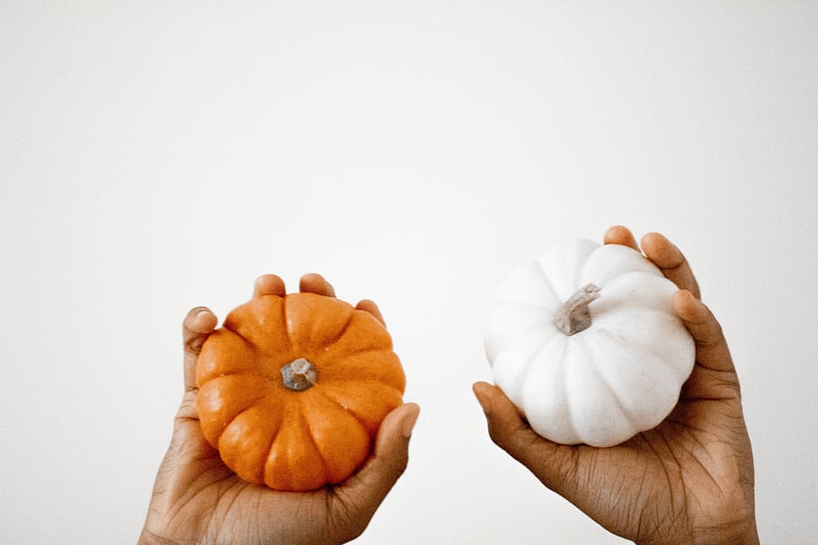 two orange and white pumpkins, human hand, human body part, holding HD wallpaper