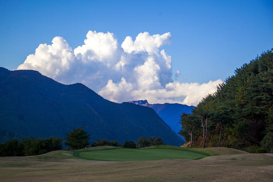 healing, golf, autumn, sky, scenics - nature, tree, tranquil scene HD wallpaper