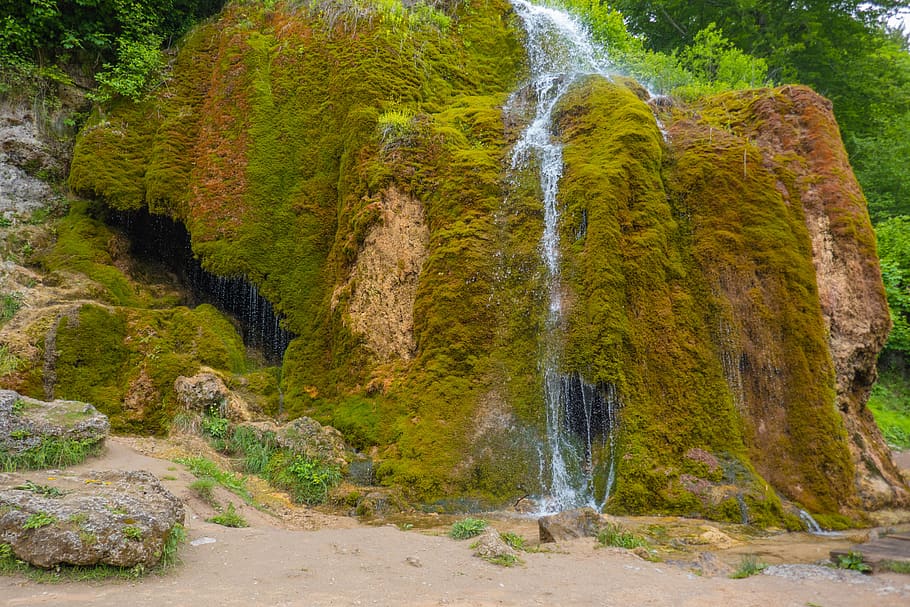 waterfall, moss, landscape, moist, nature, plant, tree, scenics - nature HD wallpaper