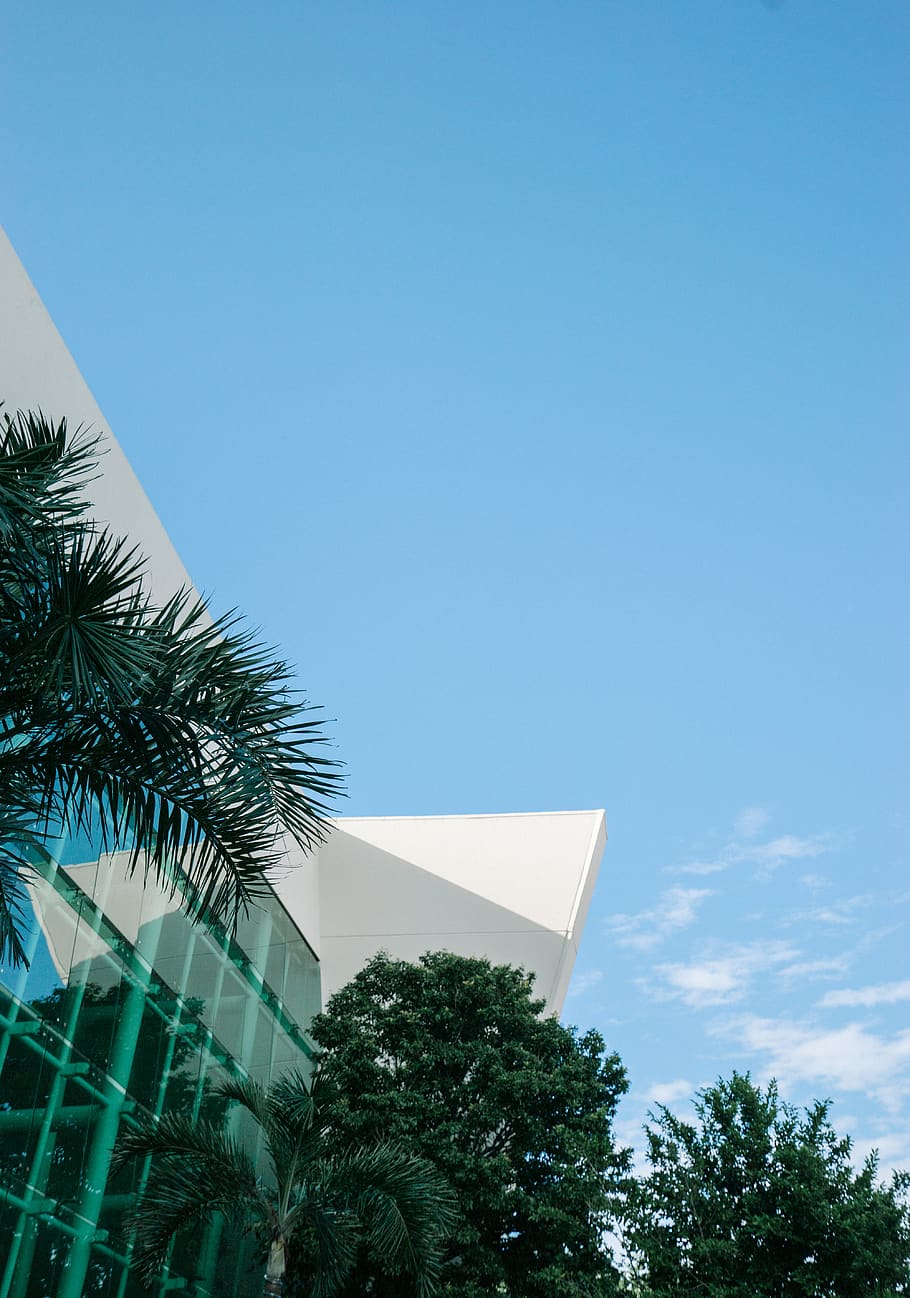 green palm tree, building, architecture, plant, summer, arecaceae HD wallpaper