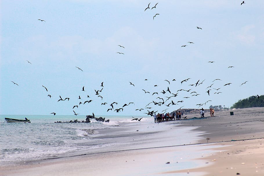 beach, panama, pacific, sea, landscape, tourism, walk, nature HD wallpaper