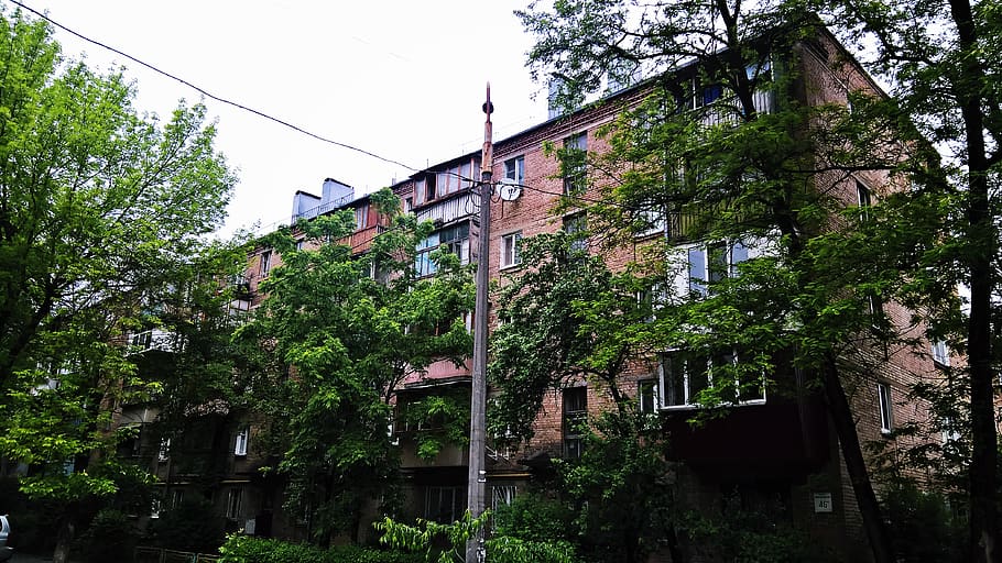 ukraine, kyiv, tree, built structure, plant, architecture, building exterior HD wallpaper