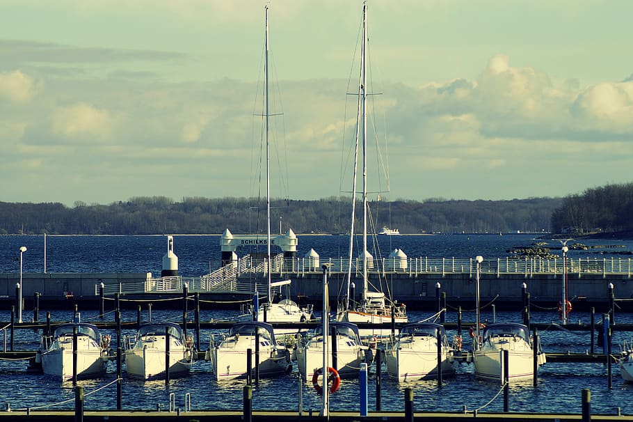 port, sailing boats, sailing ships, marina, sea, baltic sea, HD wallpaper