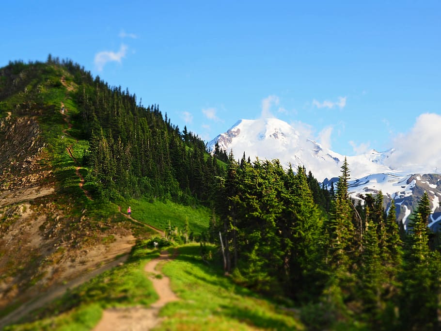 Green Covered Tree Mountain, altitude, clouds, cold, daylight HD wallpaper