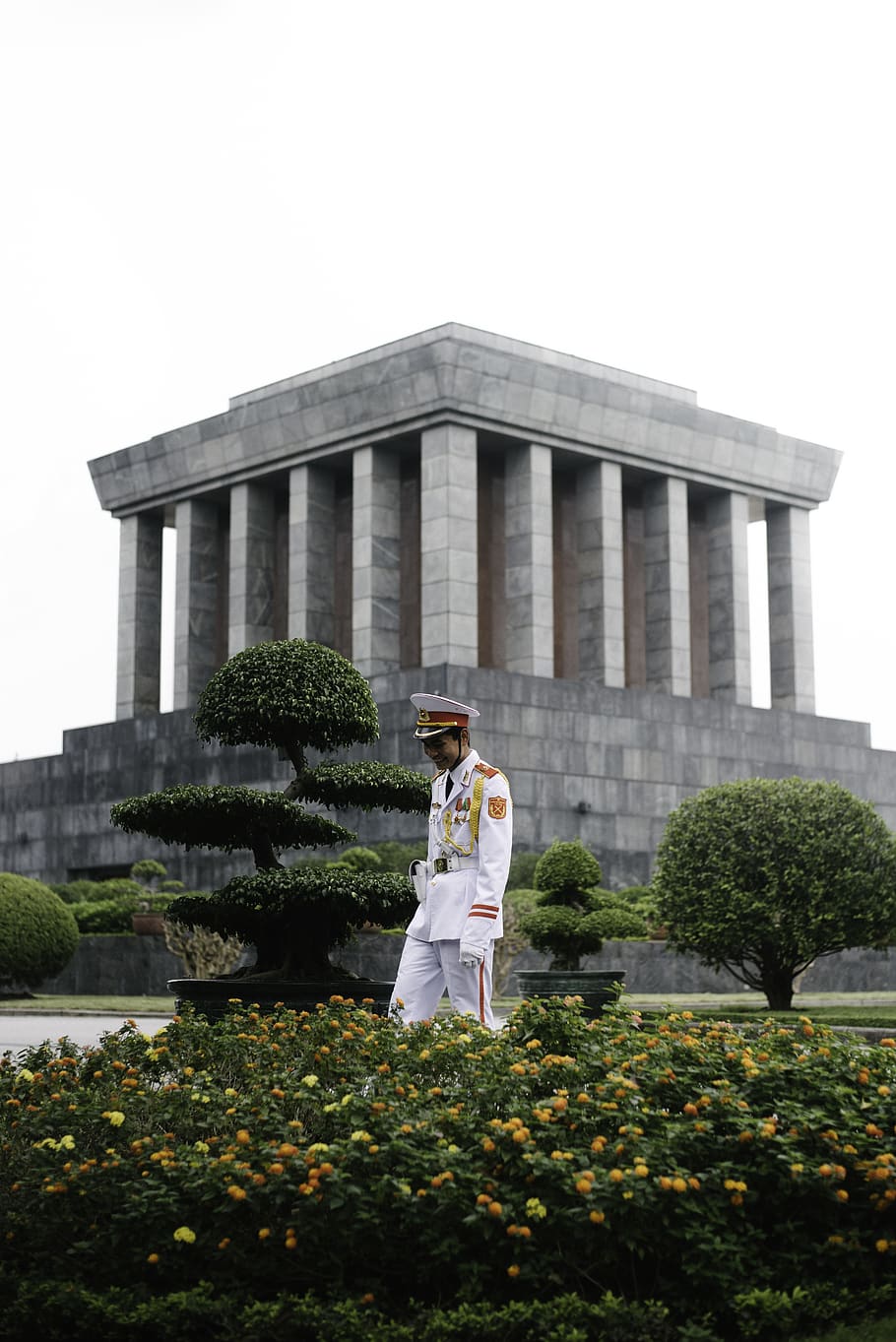 man in uniform stands beside yellow flowering plant in front of concrete museum, HD wallpaper