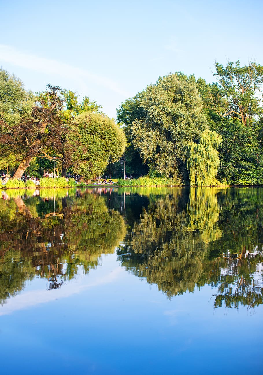 amsterdam, trees, partk, lake, relax, water, plant, reflection HD wallpaper