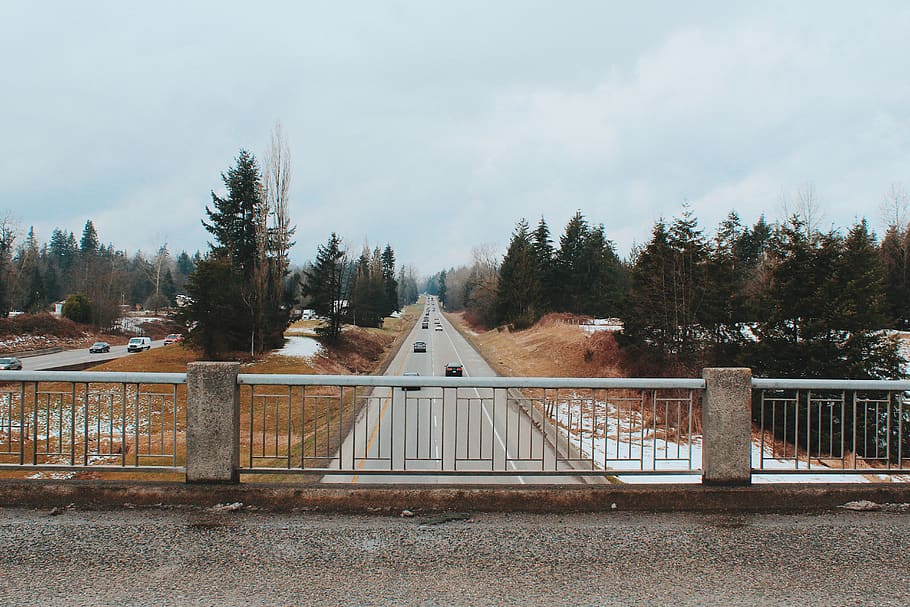 canada, langley, fort langley, overpass, trees, rural, plant HD wallpaper