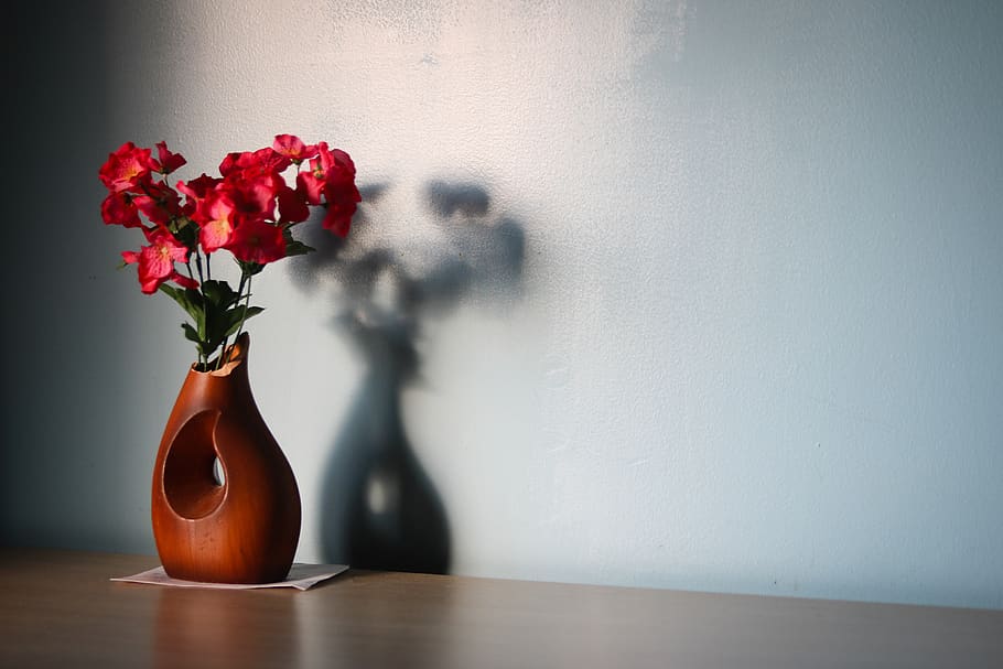 vase, flowers, flowering plant, nature, freshness, beauty in nature HD wallpaper