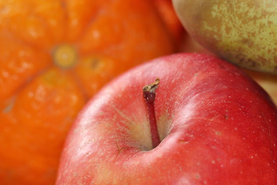 fresh, apple, fruit, nature, sweet, food, food and drink, healthy eating HD wallpaper