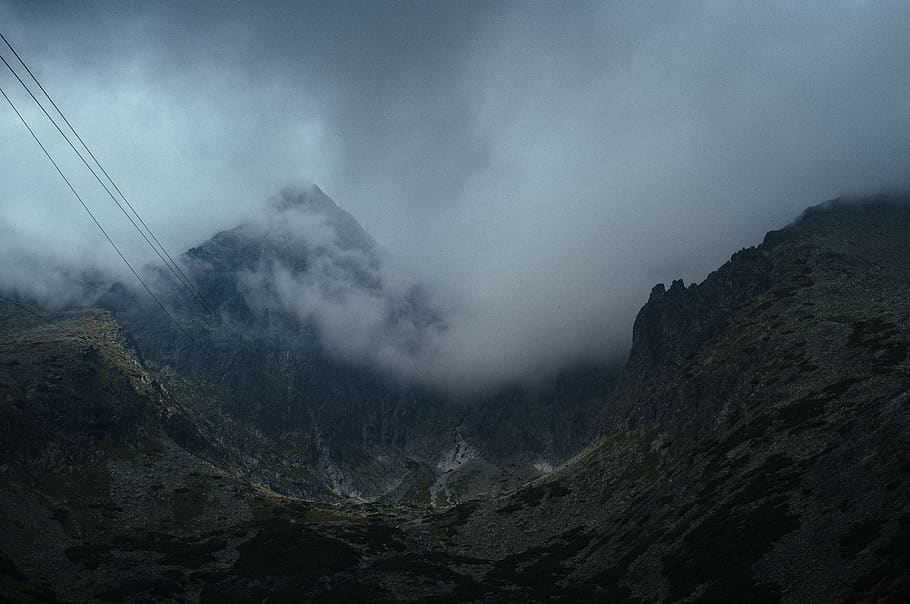 mountain with trees covered with fogs, nature, outdoors, cable car HD wallpaper
