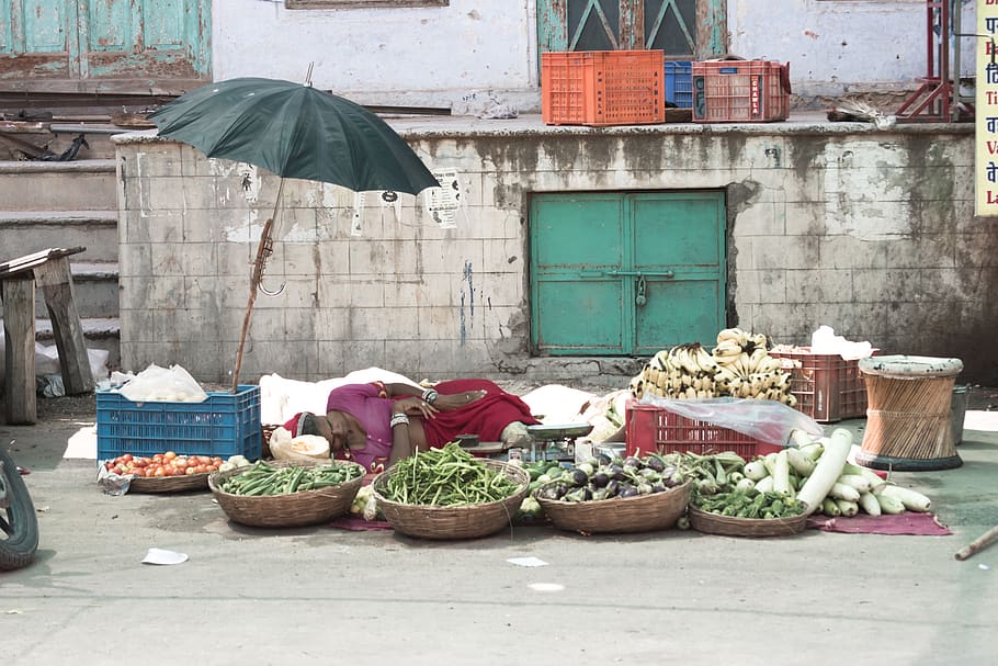 india, pushkar, food, street market, rajasthan, indian, umbrella, HD wallpaper