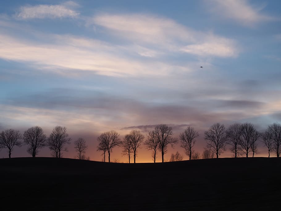 landscape, sunset, dusk, silhouette, trees, sky, clouds, nature HD wallpaper