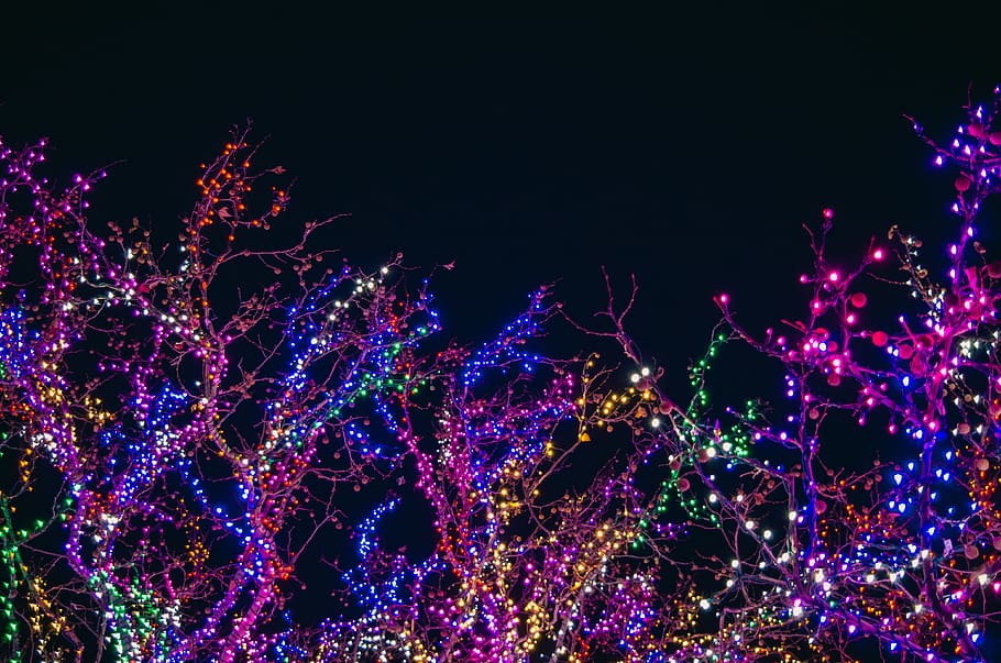 Assorted Color String Lights, art, artistic, black background HD wallpaper