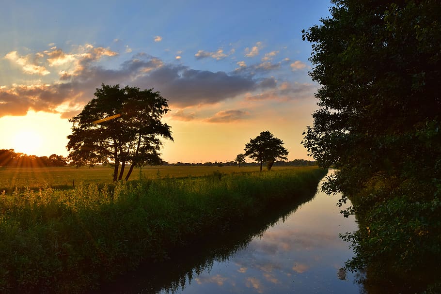 Body of Water in Between Green Plants, beautiful, clouds, dawn HD wallpaper