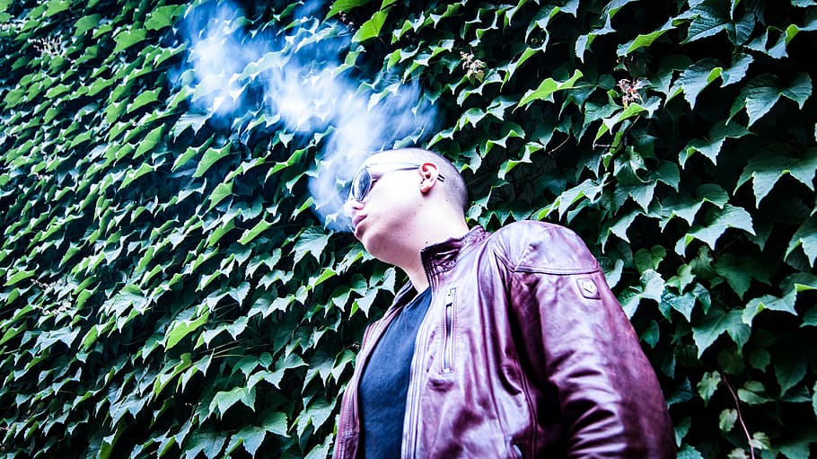 germany, munich, model, glasses, ray ban, rayban, smoke, green HD wallpaper