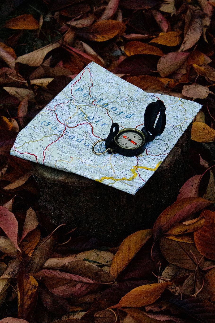 compass on white map surrounded dried leaves, leaf, plant part HD wallpaper