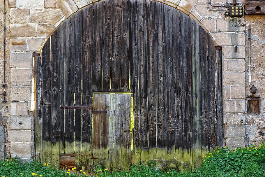 gate, door, barn, farm, spring, sun, grass, access, closed HD wallpaper