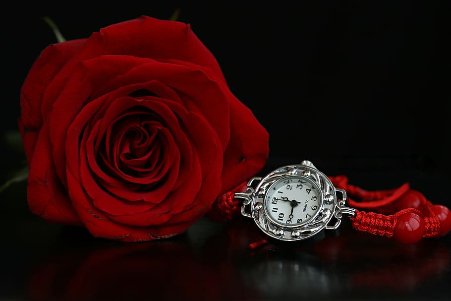 watch, rose, bracelet, red, coloring, jewelry, fashion, nice HD wallpaper