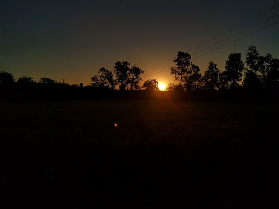 india, nanded, trees, sky, plant, silhouette, sunset, tranquility HD wallpaper