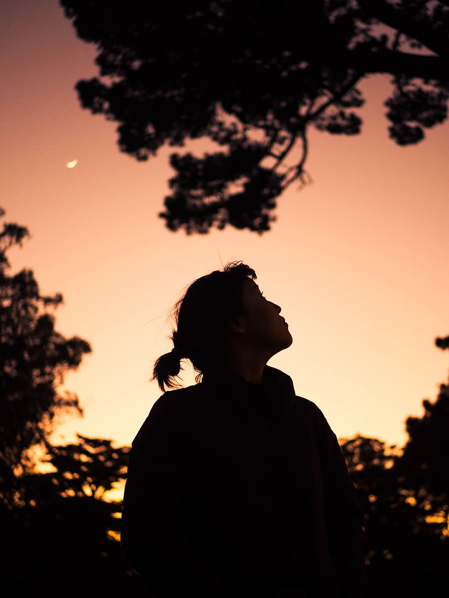 person looking upward, silhouette, human, nature, flare, light HD wallpaper