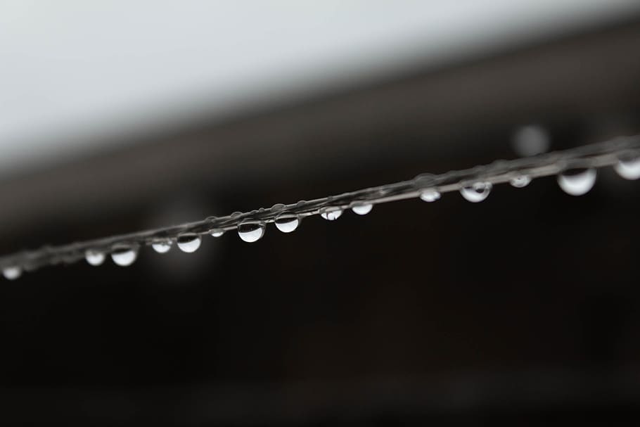drops, water, wet, rain, liquid, droplet, close-up, no people HD wallpaper