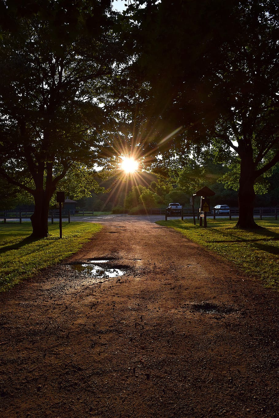trees, path, sunset, forest, nature, park, light, sunlight HD wallpaper