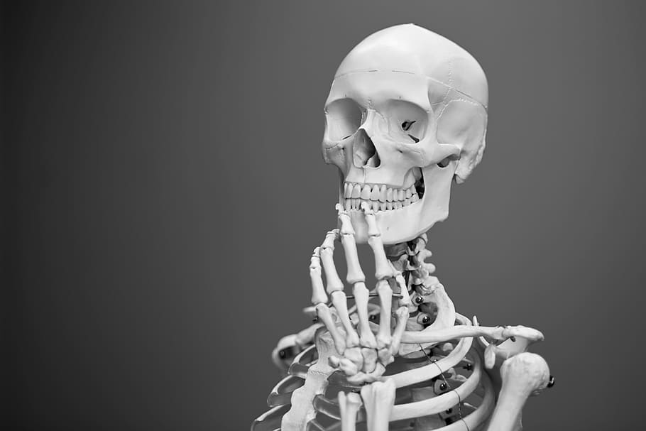 greyscale photography of skeleton, thinking, skull, black and white