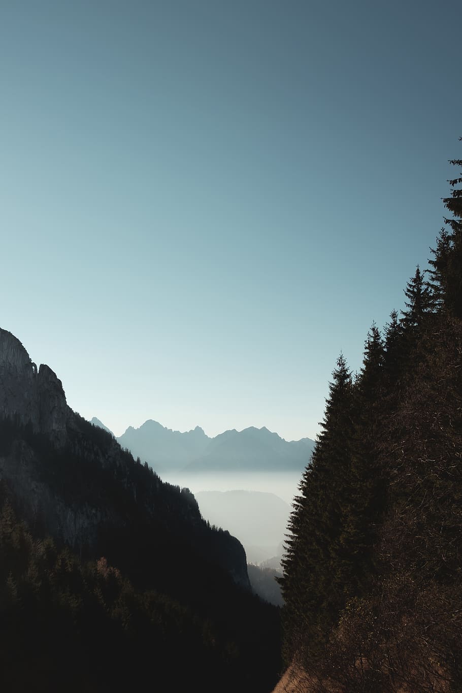 mountains under blue sky, tree, plant, fir, abies, tegelberg HD wallpaper