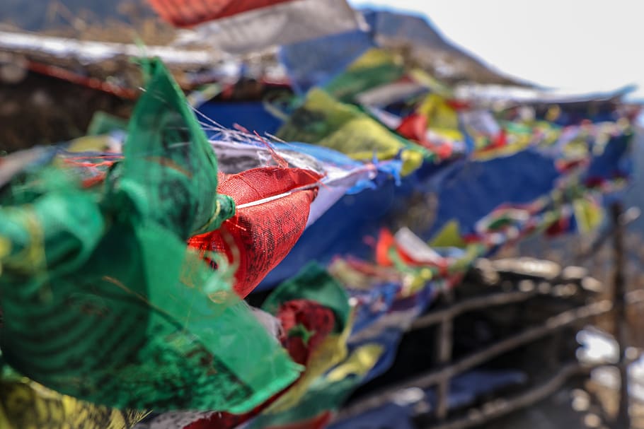 nepal, ghode pani, multi colored, day, selective focus, close-up HD wallpaper