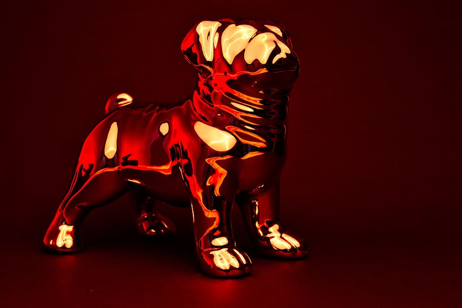 dog, chrome, reflection, reflections, wallpaper, red, studio shot HD wallpaper